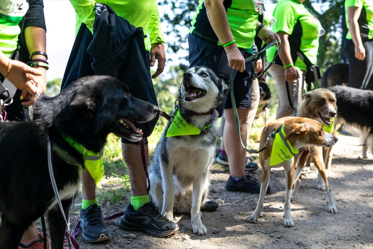 Actividades e talleres no festival The Wild - Evento sustentable en Vigo