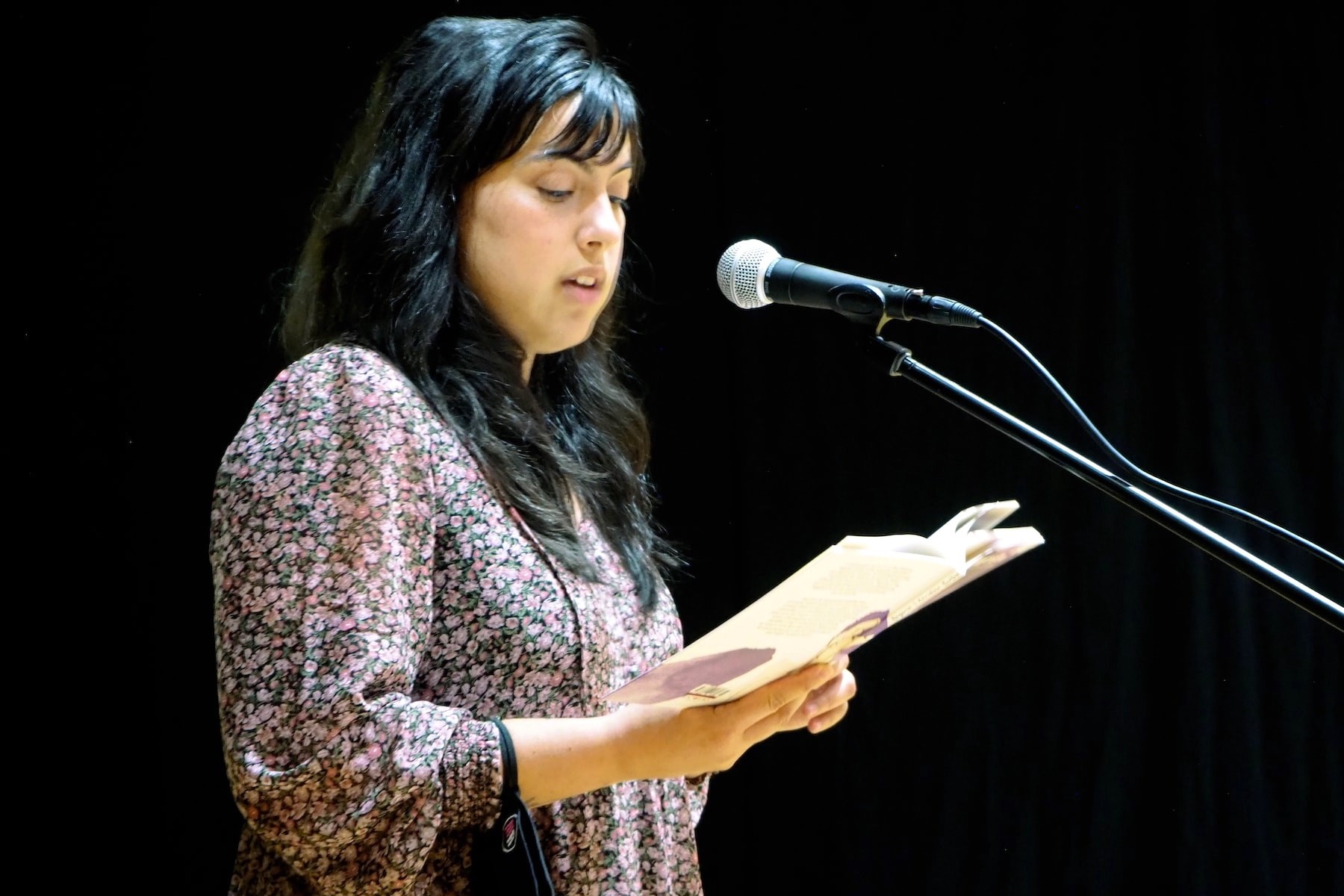 Sementeira no Camiño